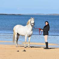 A woman in riding gear standing on a beach with a horse