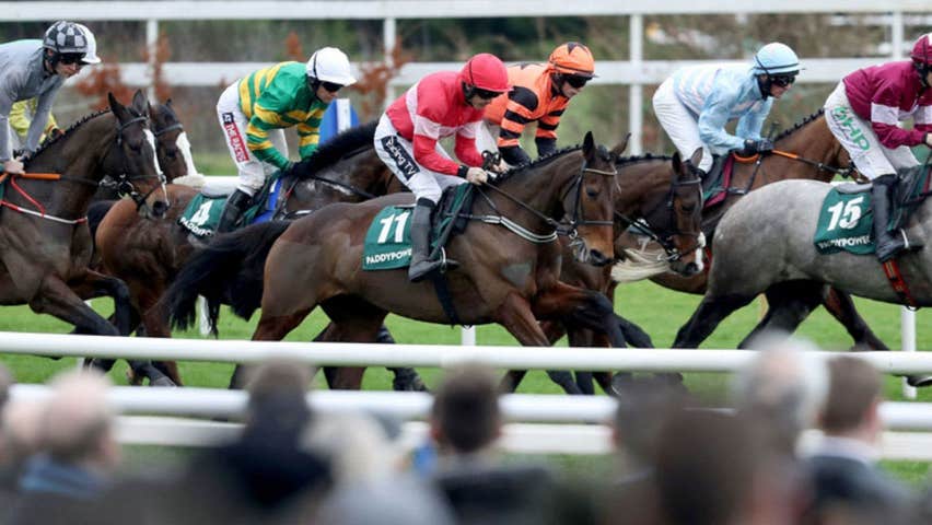 Close up of a horse race at Leopardstown