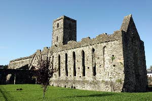 Sligo Abbey