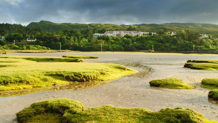 A view of a saltmarsh with green areas interspaced with wet ground