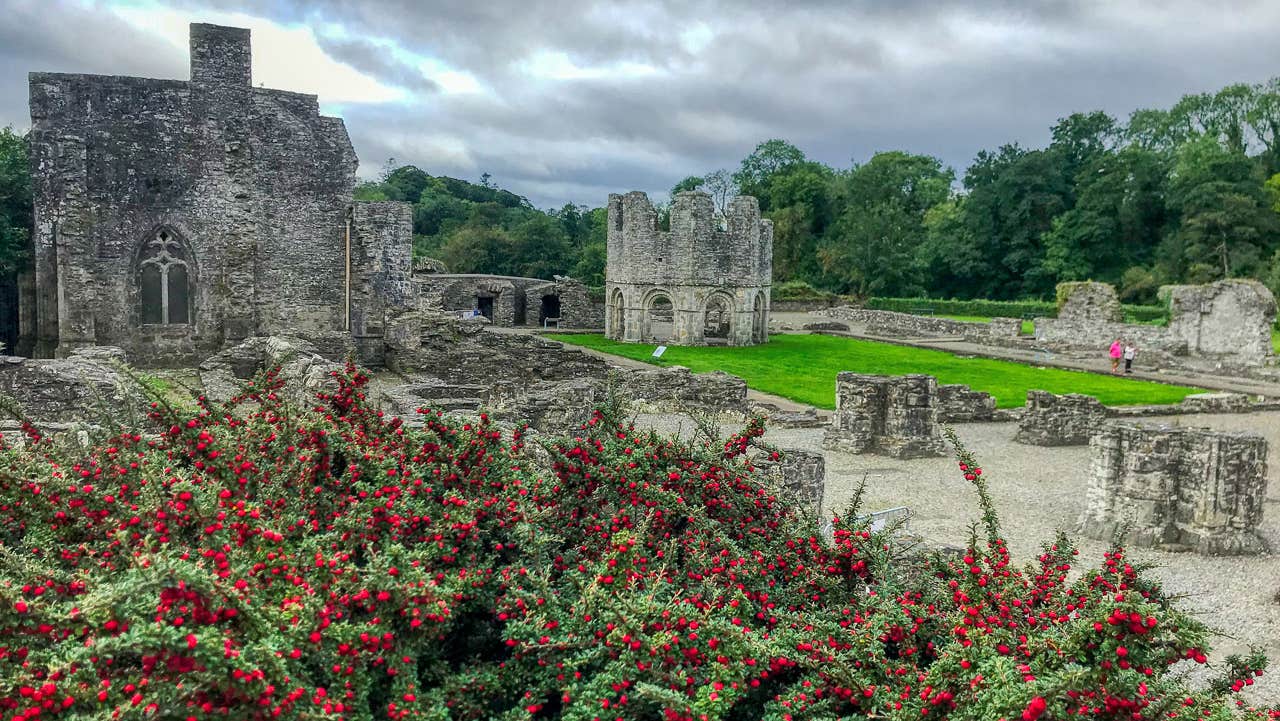 The Old Mellifont Abbey and grounds