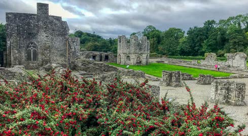 The Old Mellifont Abbey and grounds