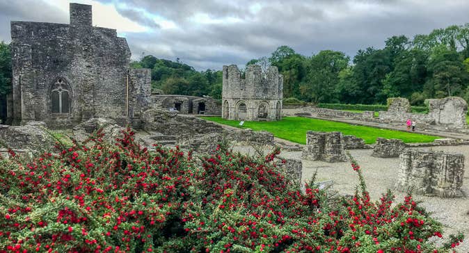 Old Mellifont Abbey