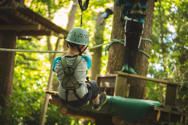 Squirrel's Scramble Tree Adventure Park, Bray, Wicklow