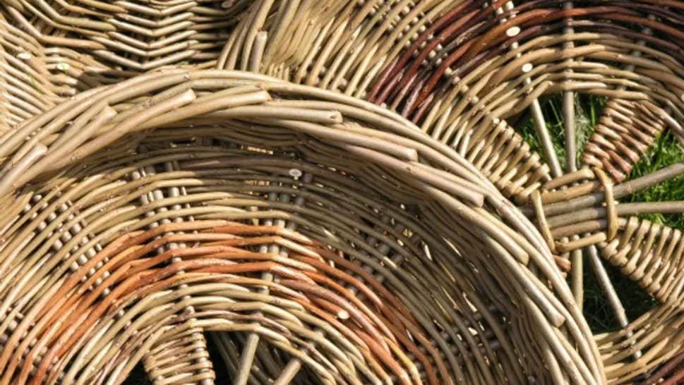 Ulster Potato Basket Class
