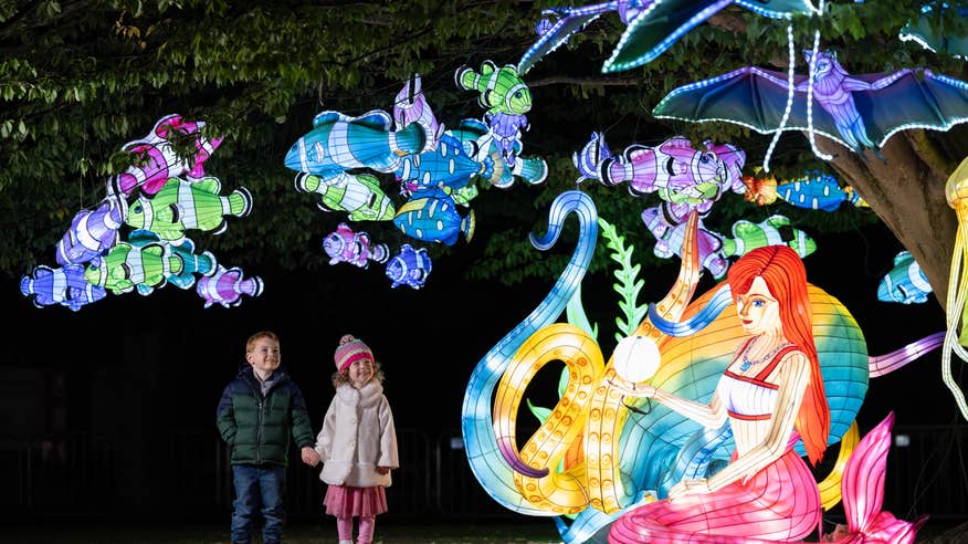 Wild Lights at Dublin Zoo