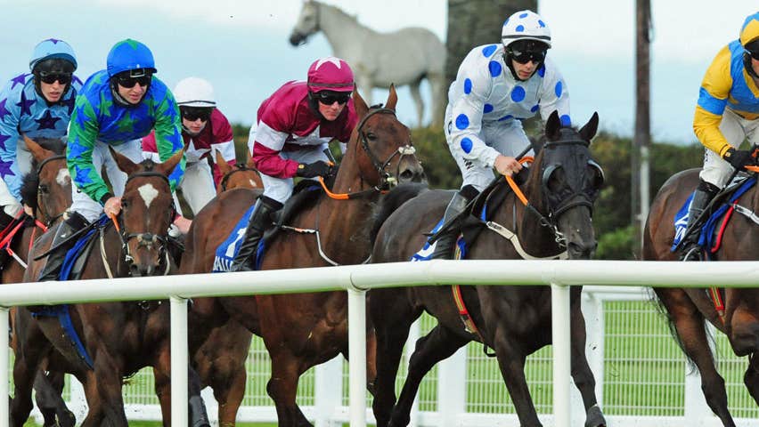 Horses and jockey captured mid race