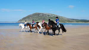Tullagh Bay Equestrian
