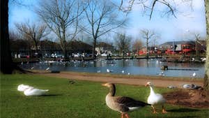 The Hawthorn Bar & Lakeside Restaurant