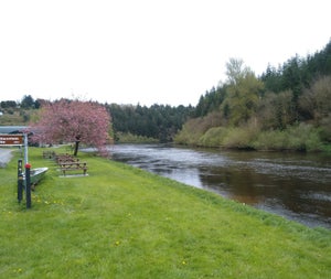 A view of the River Liffey with Wild Water Kayak Club