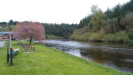 A view of the River Liffey with Wild Water Kayak Club