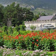 Glenveagh Castle surround by trees and colourful flowers