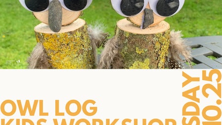 Kids Owl Log Workshop at TSEAC