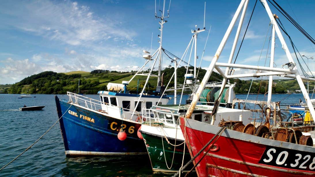 Colourful fishing boats at the village of Glandore