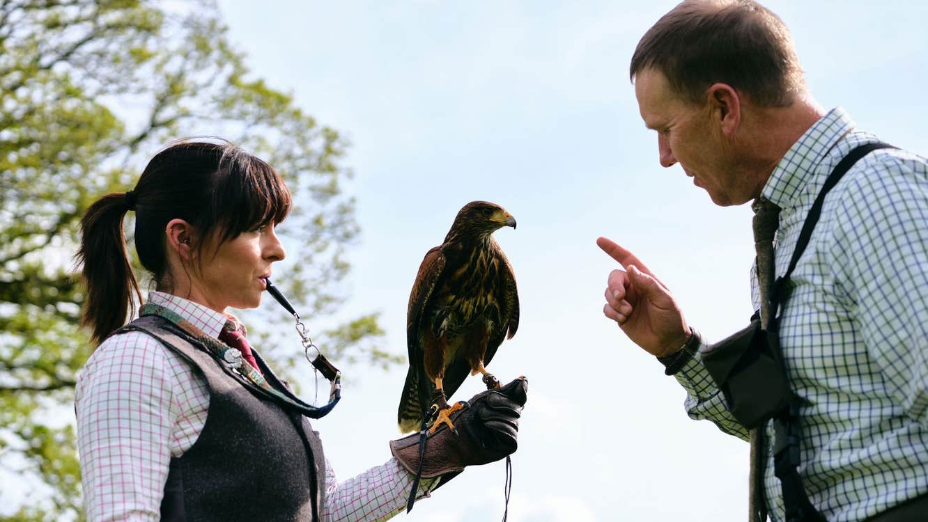 A Hawkeye Falconry handler appears to speak to his hawk while resting on the hand of another handler