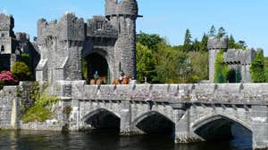 Ashford Equestrian Centre