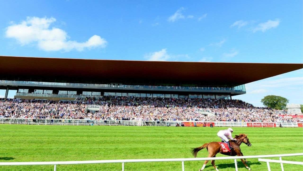 A horse racing on a track