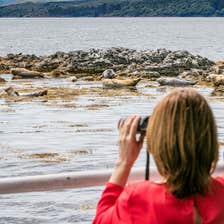A couple seal watching in Kenmare Bay, County Kerry
