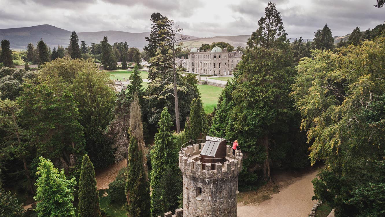 Wonder of Trees Experience at Powerscourt Estate