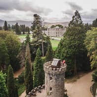 Wonder of Trees Experience at Powerscourt Estate
