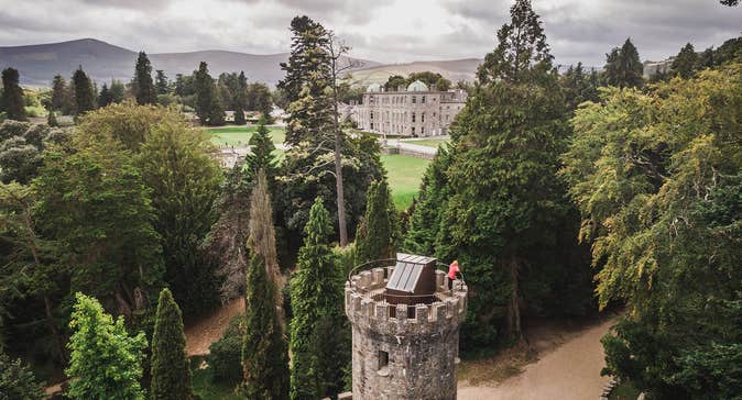 Wonder of Trees Experience at Powerscourt Estate