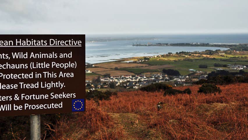 Image of a sign informing people that the Leprechauns are protected erected on a hill overlooking Carlingford Lough