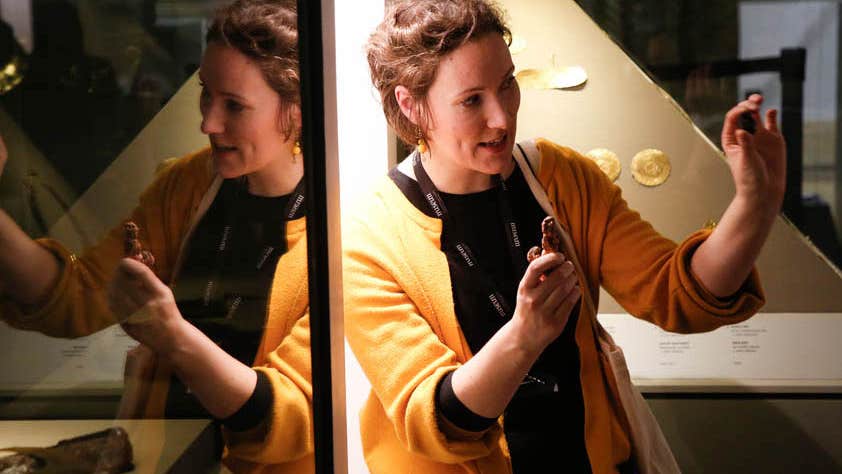 Guided tour at the National Museum of Ireland, Kildare St