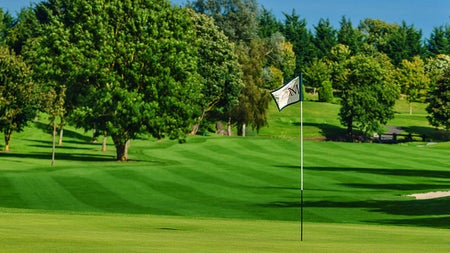 A view of the holes and greens at St Margaret's Golf and Country Club