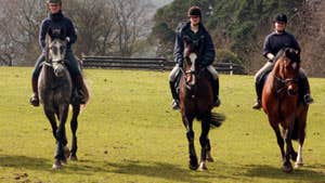 Brennanstown Riding School