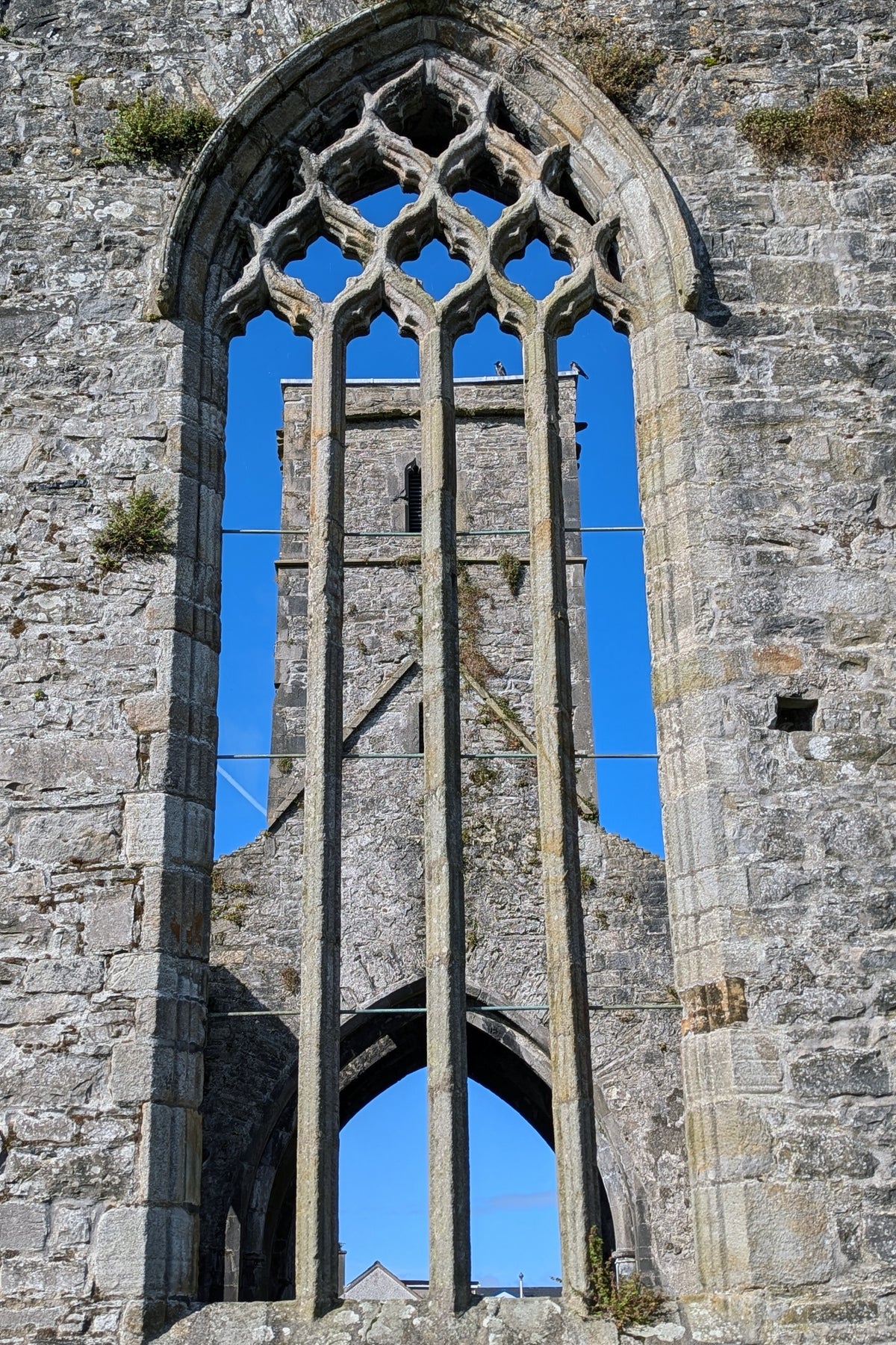Sligo Abbey