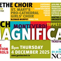 A graphical image with information about the concert