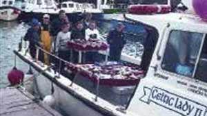 Kilmore Quay Angling - John Devereux