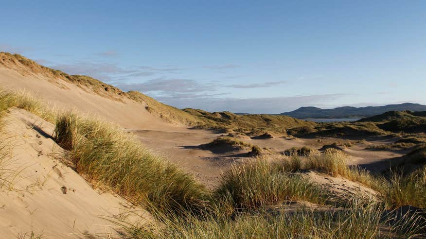 Large sand dunes and clumps of grass at Shelly Valley, Strandhill, Co Sligo
