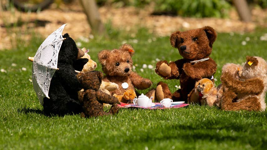 An assortment of bears sitting on the grass having a teddy bears picnic