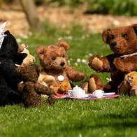 An assortment of bears sitting on the grass having a teddy bears picnic