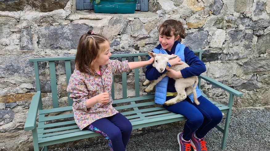 Kids holding a lamb at Glengowla Mines & Family Farm Experience in Co Galway