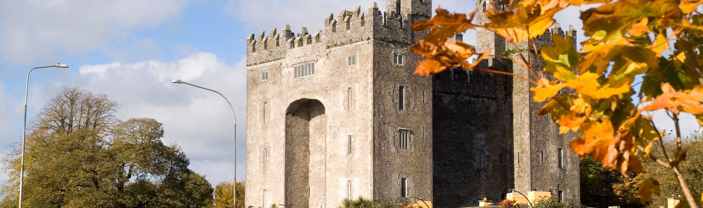 Image of Bunratty Castle in County Clare