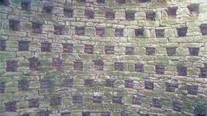 Ballybeg Augustinian Priory