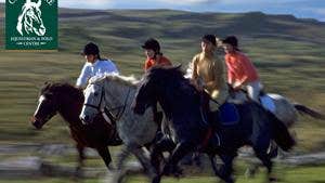 Clonshire Equestrian & Polo Centre