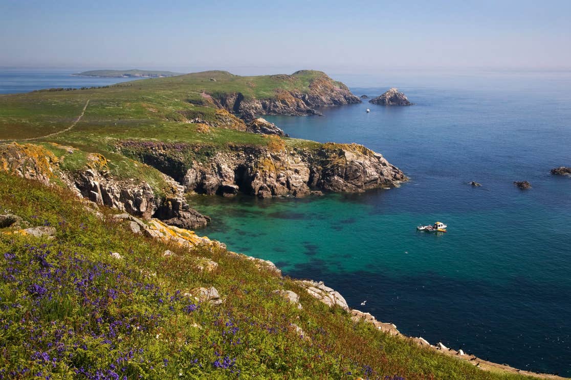 Green hills and blue sea at Saltee Islands, Wexford