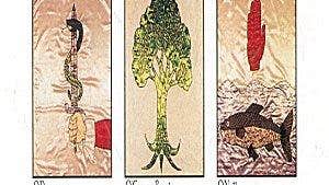 Mallow Heritage Centre