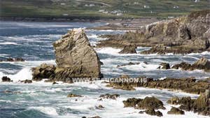 The Western Light Art Gallery