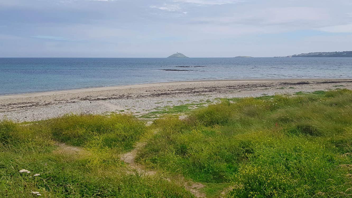 Grassy foreground with sand and sea in the background
