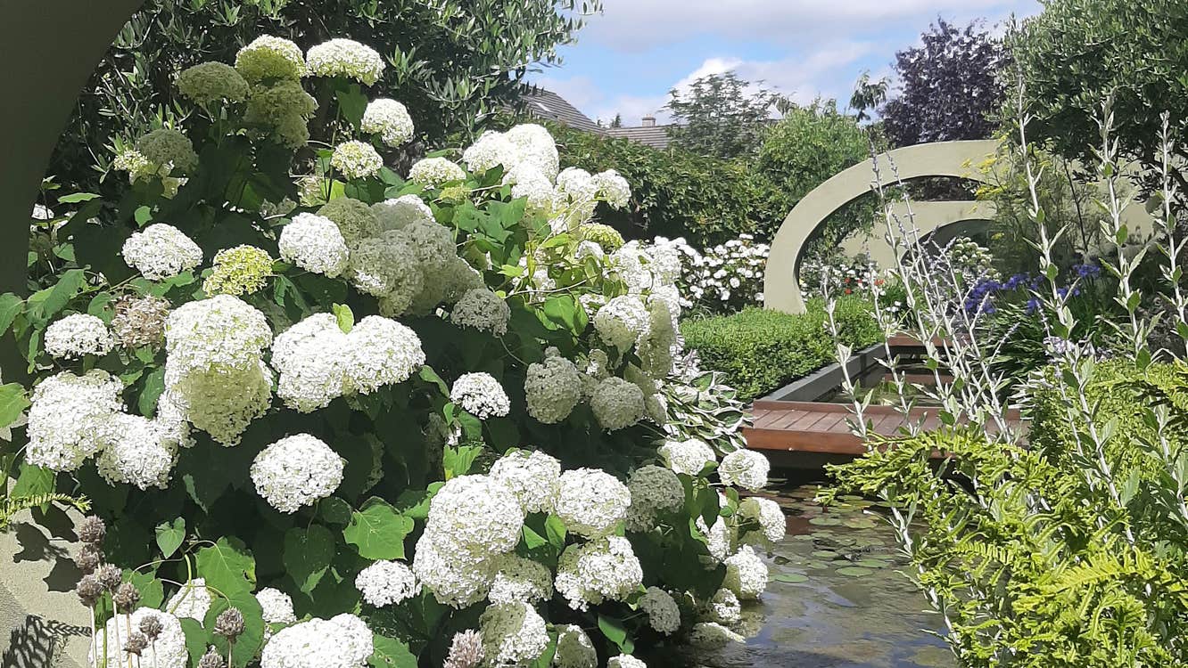 Health and wellness in full bloom at Delta Sensory Gardens