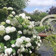 Health and wellness in full bloom at Delta Sensory Gardens
