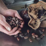 Hands holding a bunch of cocoa beans at Lorge Chocolatier