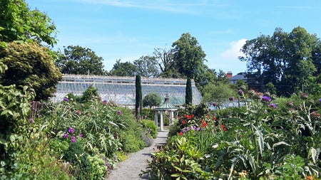 The walled garden at Farmleigh House