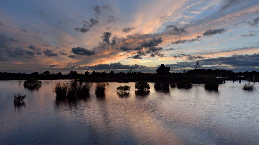 Lullymore Heritage and Discovery Park, Co Kildare