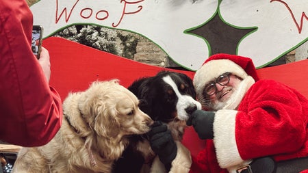 Santa Paws at Newbridge House & Farm