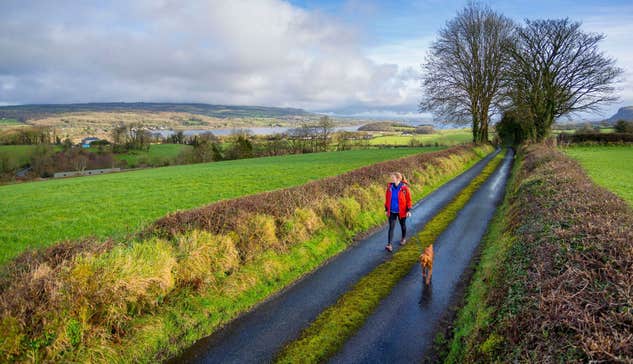 A woman walking a dog along a quiet country lane